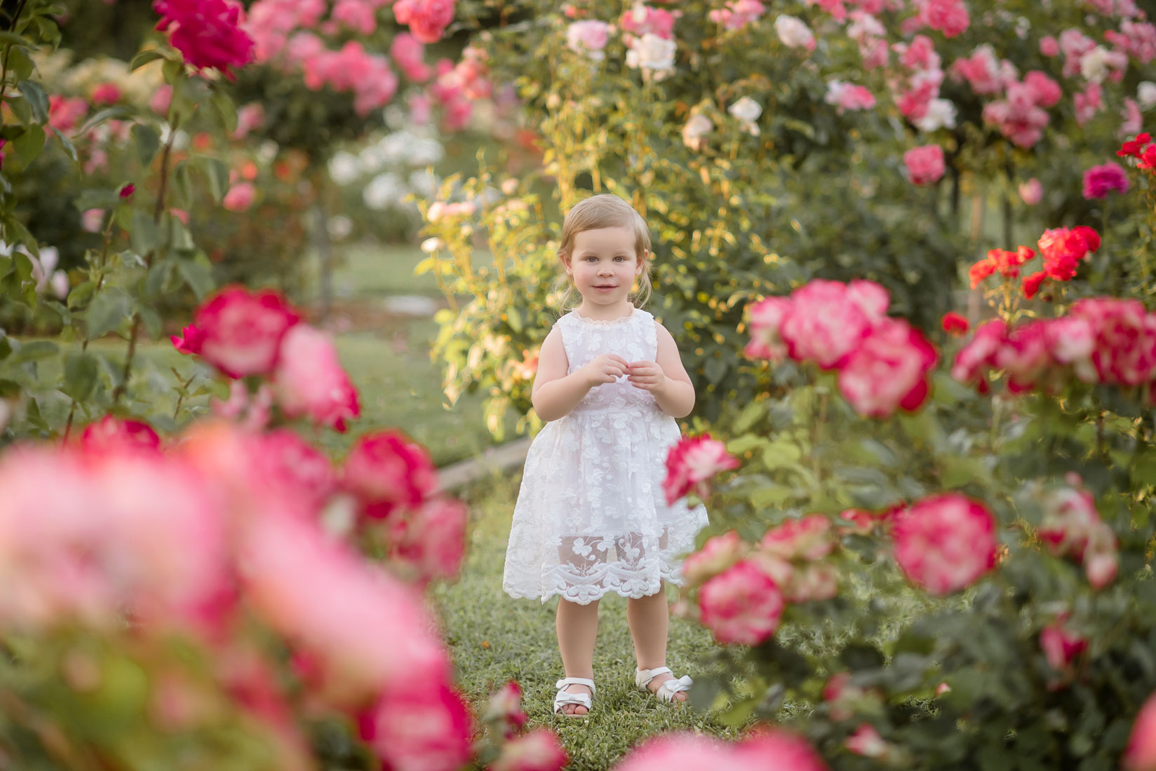 Sacramento rose garden photoshoot places for pictures Kids photographer Roseville Sacramento Rocklin Elk Grove Yuba city Folsom Eldorado Hills Vacaville Stockton 
